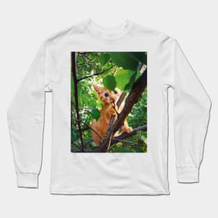 kitten in the tree Long Sleeve T-Shirt